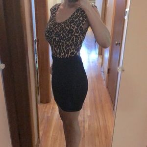Little Black & Animal Print Bodycon Party Dress